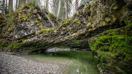 Naturbrücke im Kleinwalsertal - Schwarzwasserbach