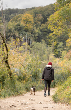 woman hiking with French bulldog in rural scenic landscape