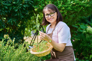 Smiling female with sprig of savory branch, harvesting spicy fragrant herbs