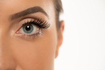 Beauty female eye with curl long false eyelashes on a white background