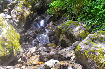 waterfall in the forest