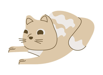 cute little beige cat