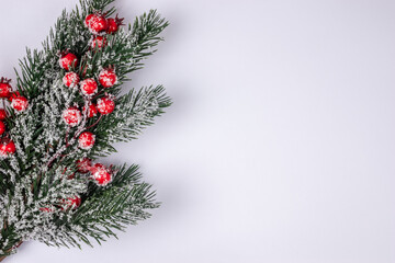 Fototapeta na wymiar Fir green christmas tree spruce branch with holly covered with snow on white background top view with copy space.