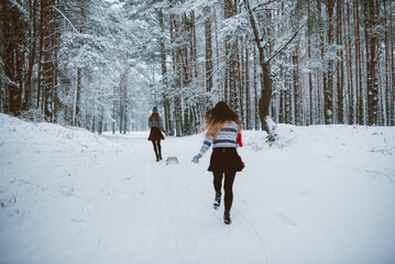 Close up fashion portrait of two sisters hugs and having fun, ride on sled in winter time forest, wearing sweaters and scarfs,best friends couple outdoors, snowy weather