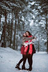 Close up fashion portrait of two sisters hugs and having fun in winter time forest, wearing sweaters and scarfs,best friends couple outdoors, snowy weather