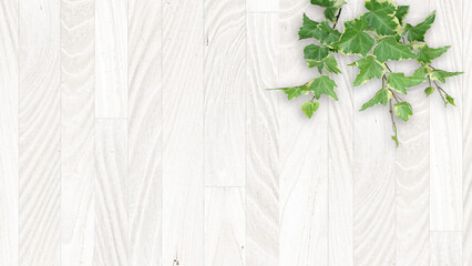 木目背景とグリーン