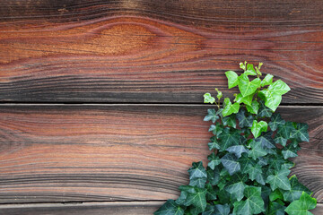 木目背景とグリーン