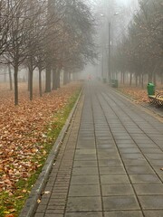 autumn in the park