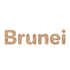 Brunei Silhouette Pixelated pattern map illustration