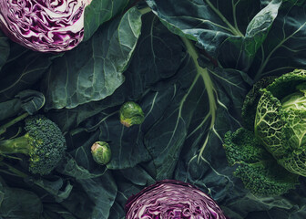 Dark background with winter vegetables high in antioxidants, minerals and vitamins: Collard greens, broccoli, Brussels sprouts, red cabbage and kale. Flat lay. Food concept. Agricultural products.