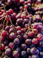 Variedad de uvas para la fermentacion para preparar vino 