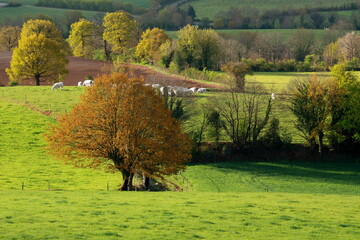 Bocage vend&eacute;en au printemps