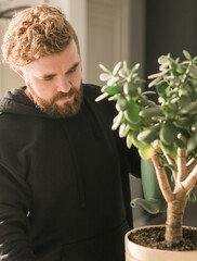 Man watering succulent houseplant by watering can at home - housework and care plant concept
