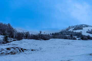 Carpathian mountains in Richka, Nord-East slopes of Polonina Borzhava, Ukraine