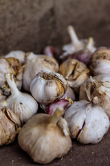 Heads of garlic on grey concrete, harvest. Autumn rural landscape, gloomy photo. Autumn photo, wallpapers