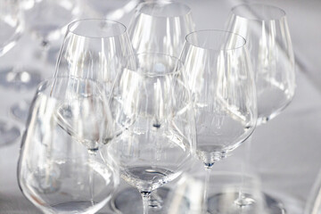 red or white wine glasses on the table during a wine testing