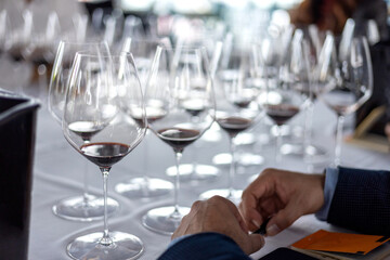 professional wine testing