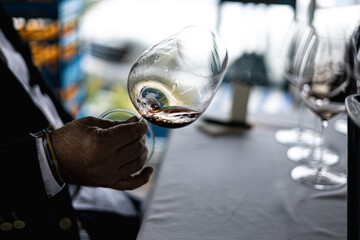 red or white wine glasses on the table during a wine testing