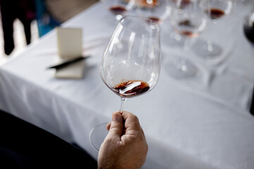 person holding a glass of wine