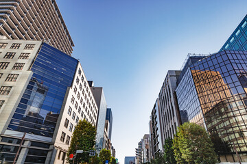 Naklejka premium 朝日が綺麗な東京のビル群