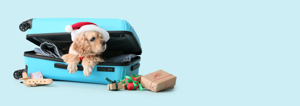 Adorable dog in Santa hat and suitcase on light blue background with space for text. Christmas vacation concept