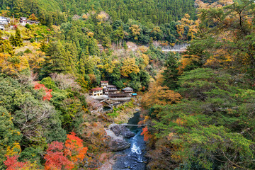 Fototapeta na wymiar 東京、奥多摩の綺麗な紅葉の景色