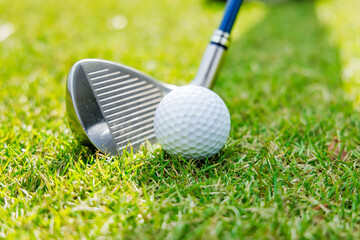 芝生が綺麗なゴルフ場、ボールとゴルフクラブ