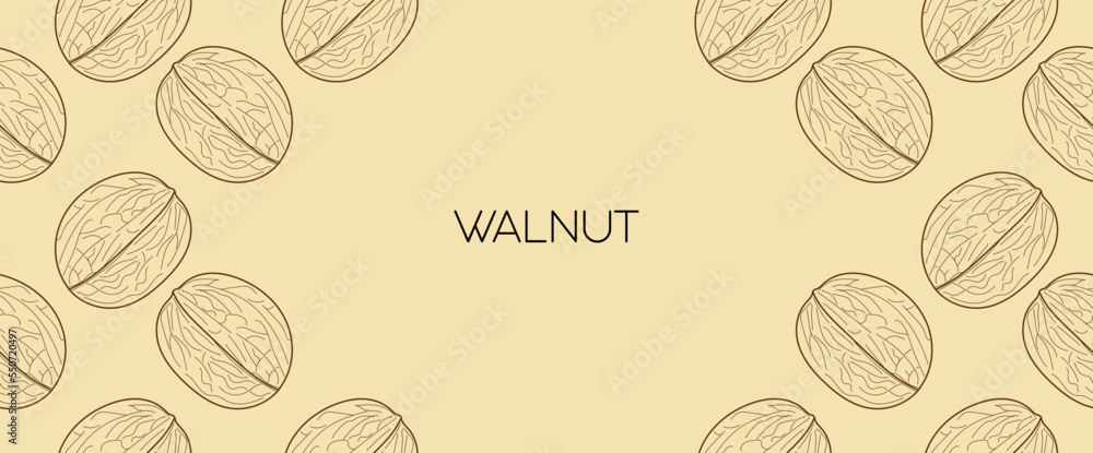 Aufkleber walnut frame in linear style. vintage template walnut in copy space. linear nuts background. vector 