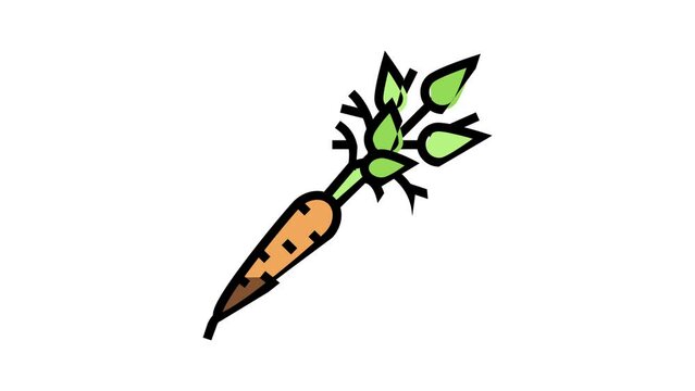 raw carrot color icon animation