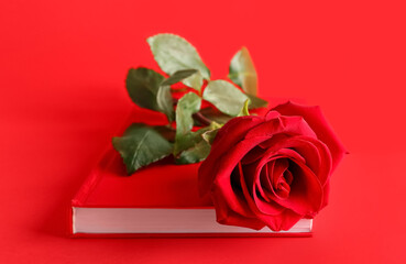 Notebook and beautiful rose flower on red background
