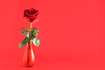 Fototapeta premium Vase with beautiful rose flower on red background