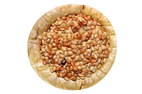 Horse Gram on a Sal Tree Leaf Plate.