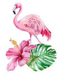 Pink Flamingo and tropical flora. Green Leaf, hibiscus flower Watercolor botanical painting