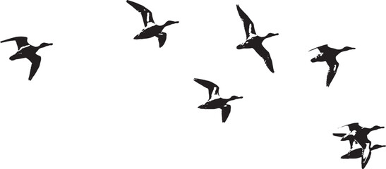 Fototapeta na wymiar Flock of Ducks in Flight Silhouette