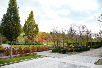 View of autumn park with benches and trees