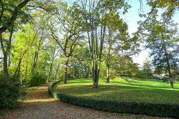View of beautiful trees, green bushes and alley in autumn park