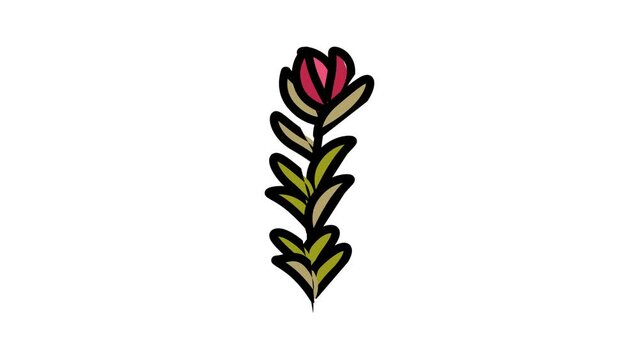 rotala rotundifolia seaweed color icon animation