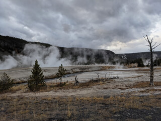 Steaming Springs at Yellowstone National Park 