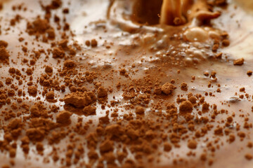 Mixture of cocoa powder and fresh milk