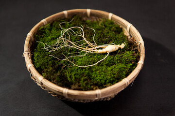 Wild Korean ginseng. Wild Ginseng has been used in best traditional medicine