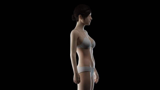 3d rendered medical animation of a woman after breast enhancement surgery