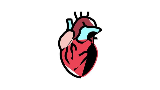 heart human organ color icon animation