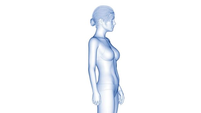 3d rendered medical animation of a woman's transformation after breast surgery