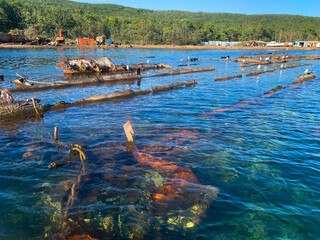photo of a sunken ship across the water surface
