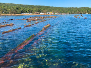 photo of a sunken ship across the water surface