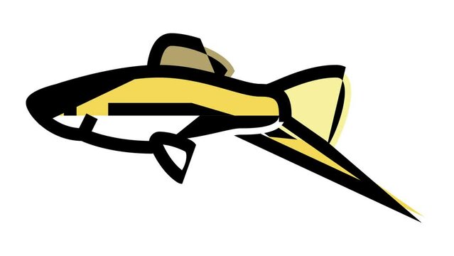 swordtail fish color icon animation