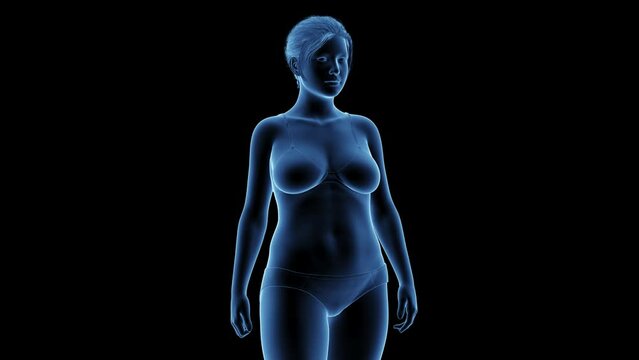 3d rendered medical animation of a woman's transition from fat to fit