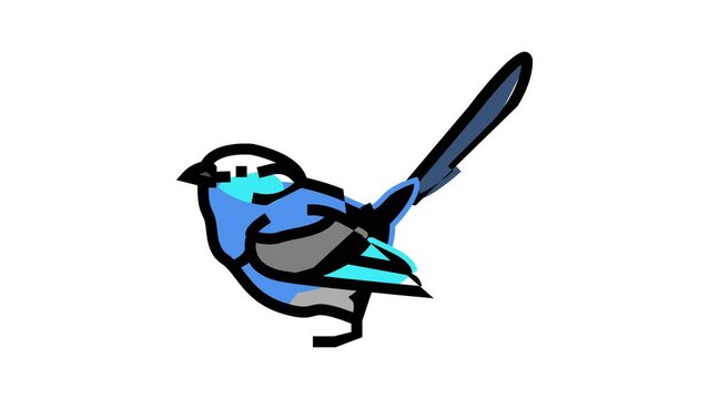 splendid fairywren bird exotic color icon animation