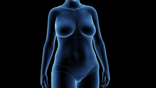 3d rendered medical animation of a woman's transition from fat to fit