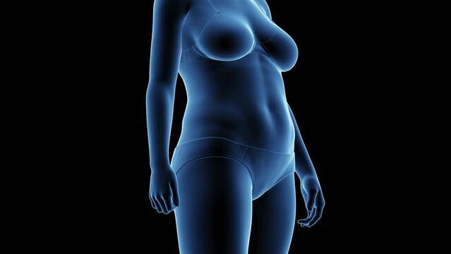 3d rendered medical animation of a woman's transition from fat to fit